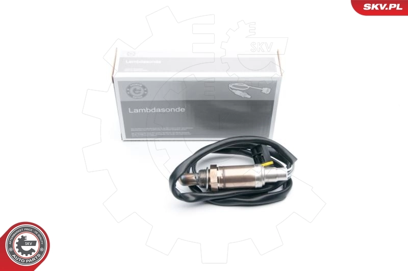 Oxygen Sensor